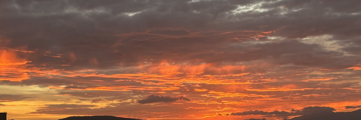 LuciaBarcelVive's profile banner image