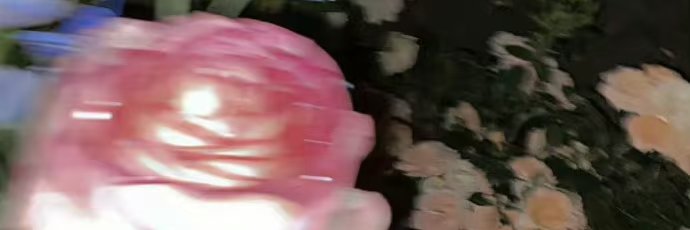 猫哥总能力挽狂澜 banner