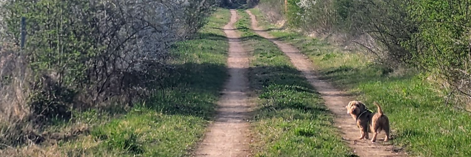 I am Happy 🤩 Minister für (K)rum(m)liegen banner