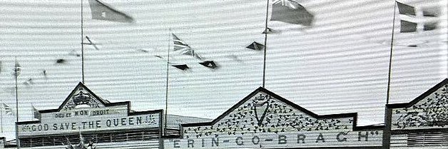 Royal Irish ☘️ banner