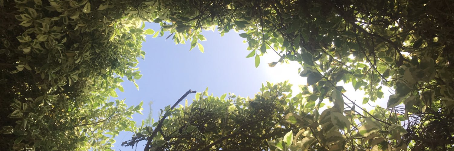 sobendardaf's profile banner image
