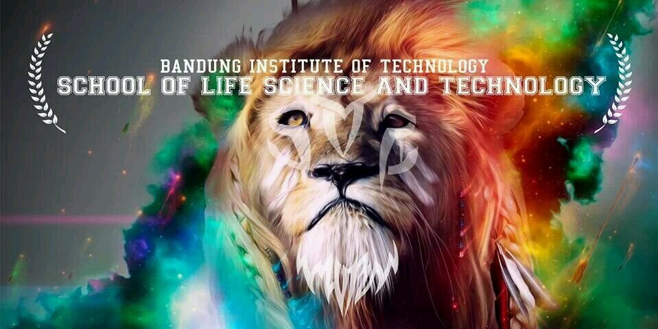 SITH ITB 2013 banner