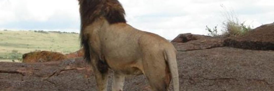 Arnold Kipkemoi banner