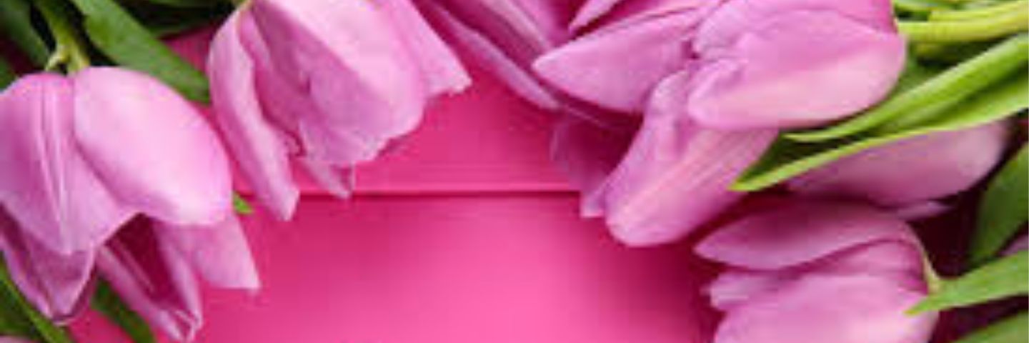 aisha9314's profile banner image