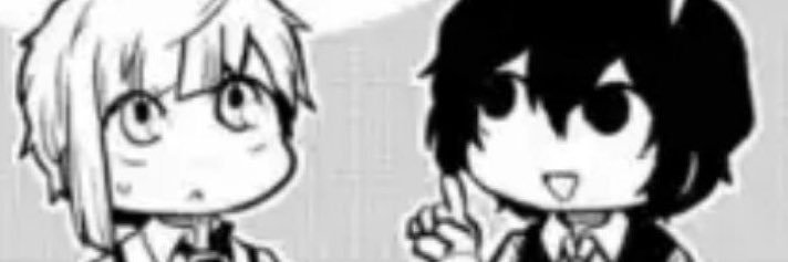 raccoonzai's profile banner image