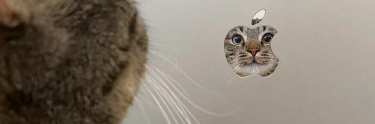chenkelin8's profile banner image