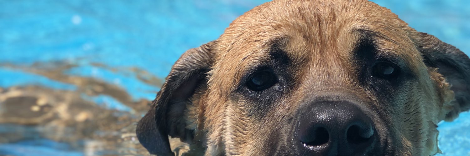 Aciixi's profile banner image