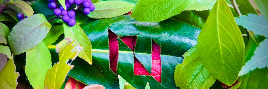 ふじやま🫀 banner