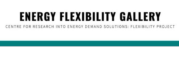 EnergyFlexGall Profile Banner