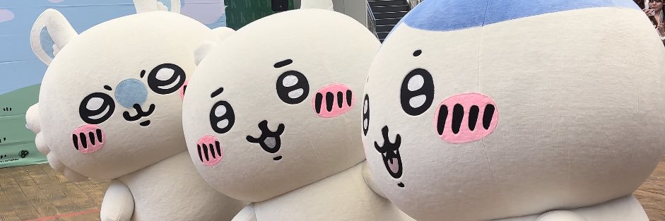 11mayuko04's profile banner image
