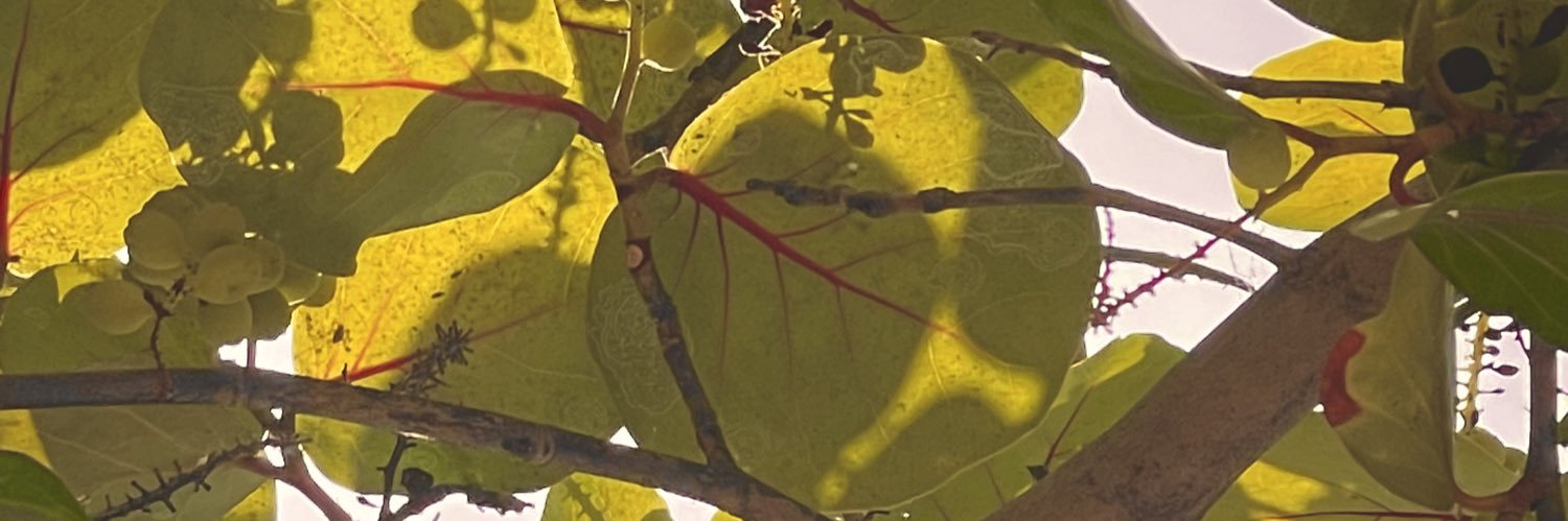 mfckingnick's profile banner image