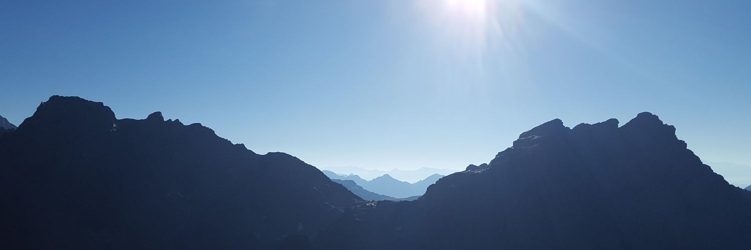 Diana Manea banner