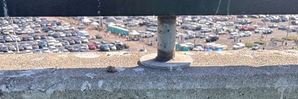 devfan4evr Profile Banner