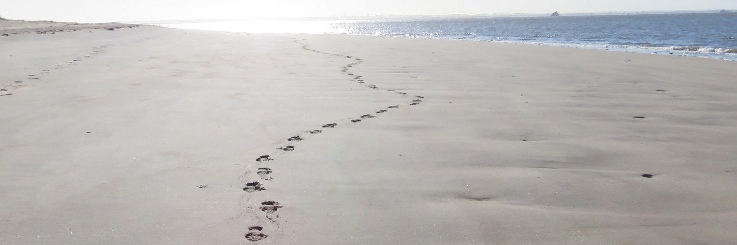 Johnny Facadé 🇬🇧 🇪🇺 🇺🇦 🇮🇱 banner