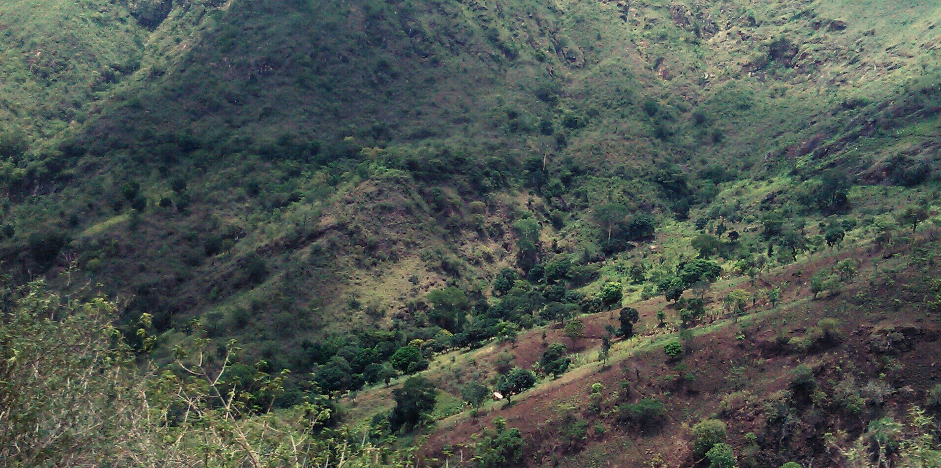 JamalChagamba's profile banner image