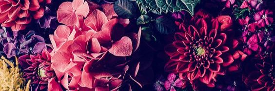 indrialviii's profile banner image