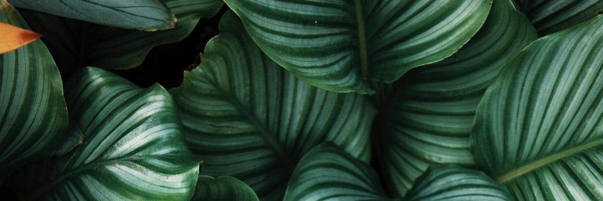 EfabulousHB's profile banner image