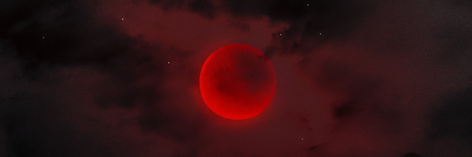 lótus 🪷#XdaQuestãoRPG banner