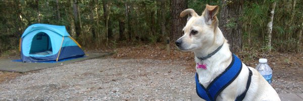 BrewSudsy Profile Banner