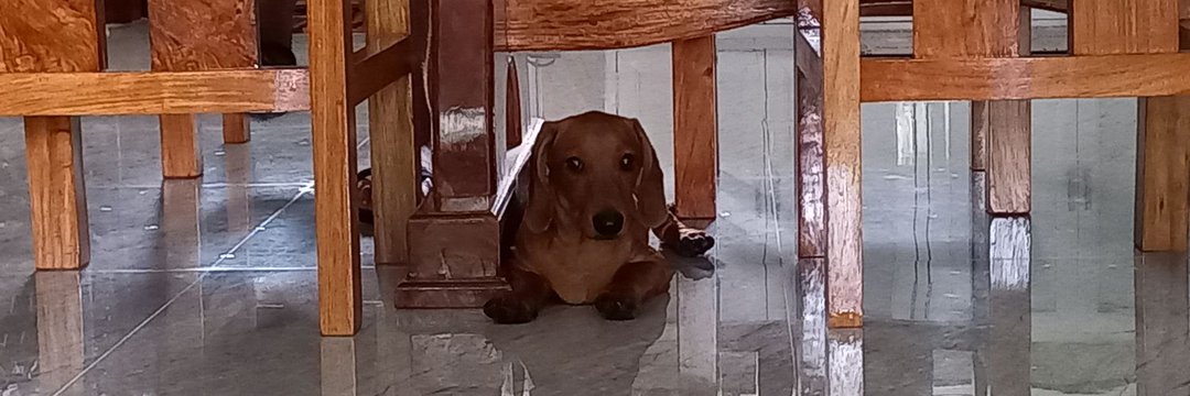 dumeimingg's profile banner image