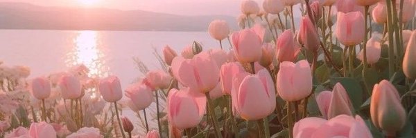 thepoonam0914 Profile Banner