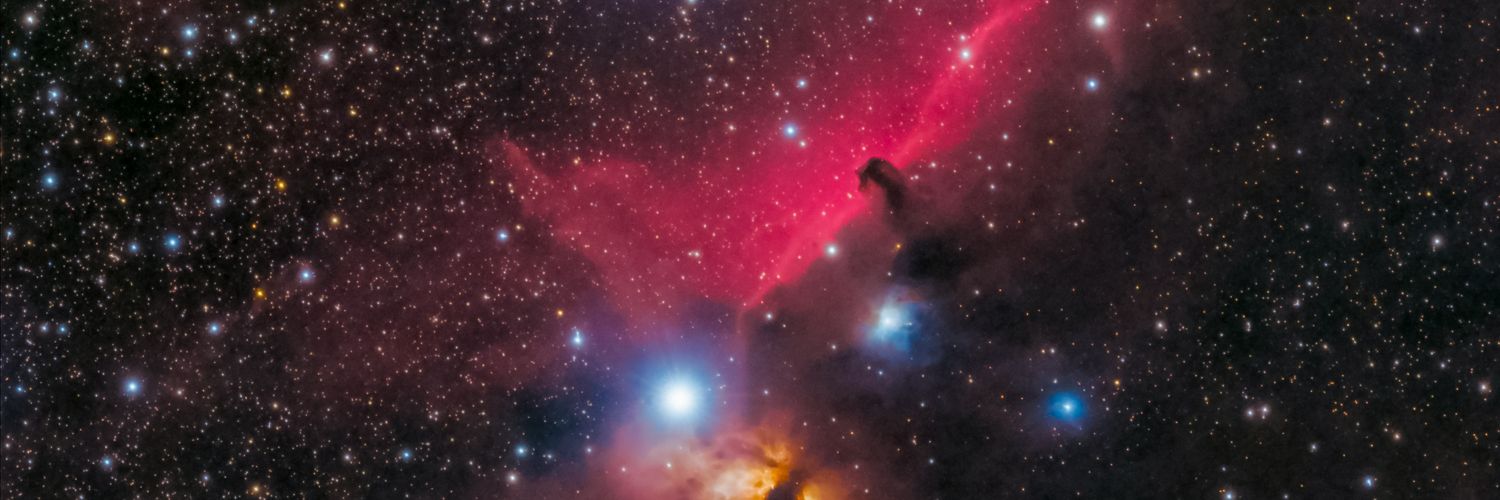 Avinash Singh banner