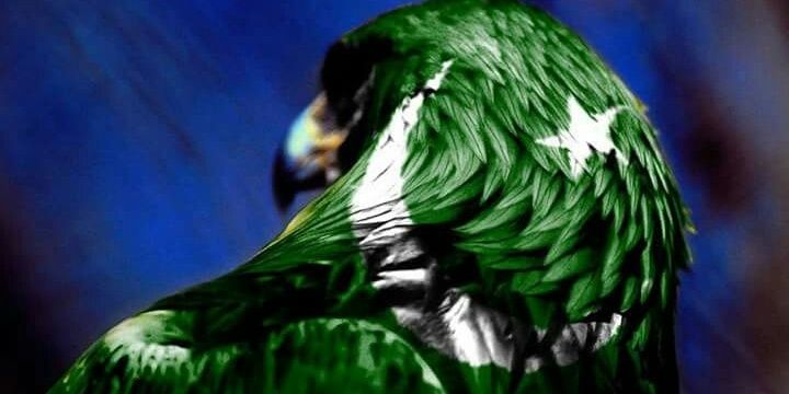 JiyaJasmine's profile banner image