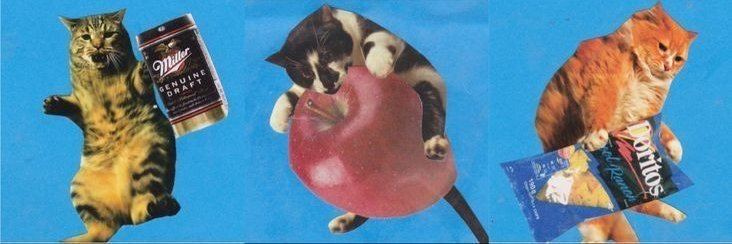 Ricardo de Arruda 🦊 banner