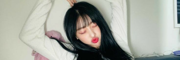 🌙 banner
