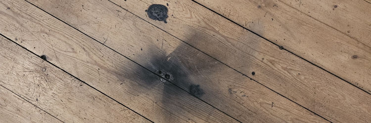 PasChatRex's profile banner image