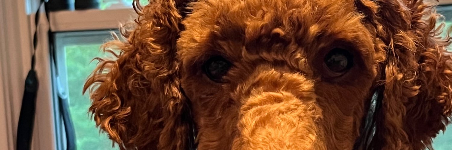 OHG's profile banner image