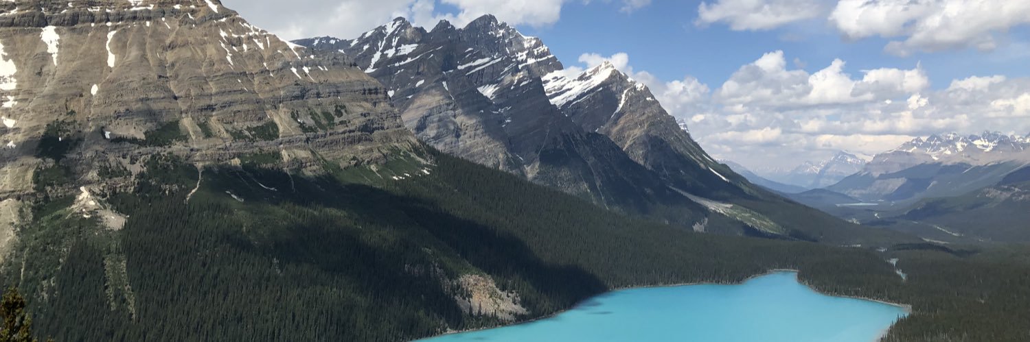 blainefahey's profile banner image