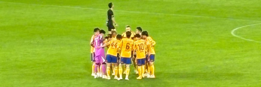 vegalta_slluv banner
