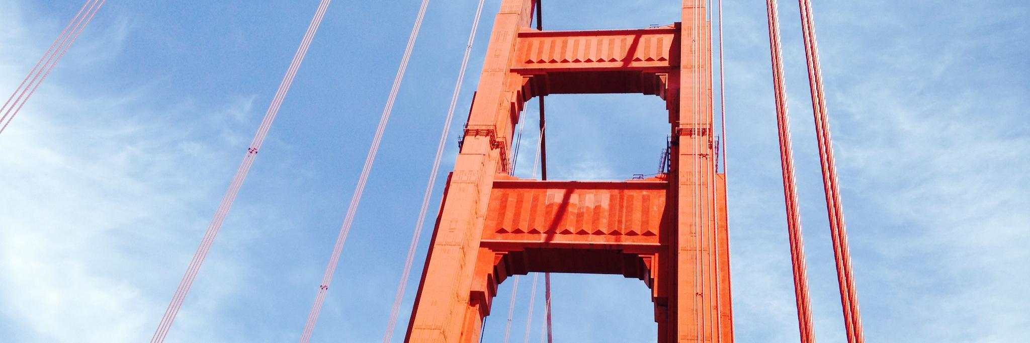 Birdofpassage_'s profile banner image