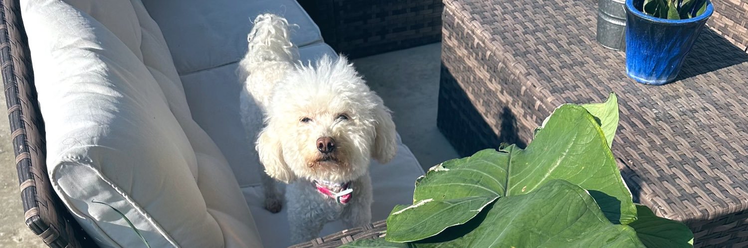 keji___01's profile banner image