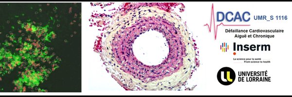 INSERM_U1116 Profile Banner
