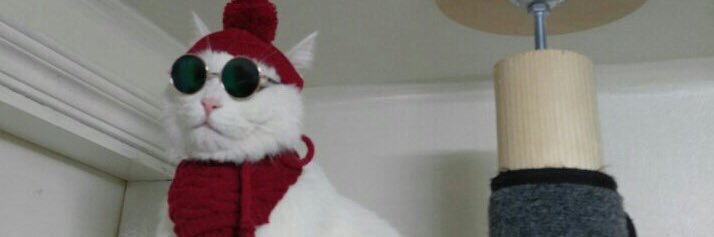 strrelldd's profile banner image