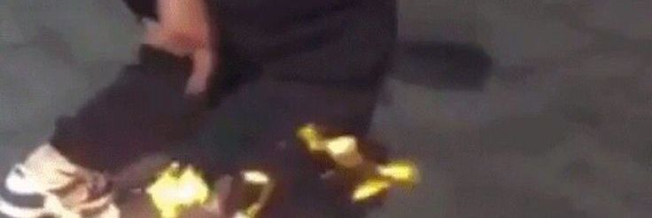 หนูแจง :3 banner