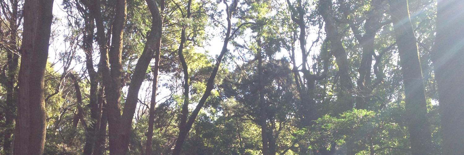 iuaeo's profile banner image