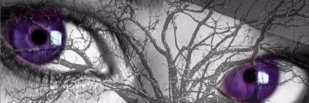 AngelMonikBlog's profile banner image