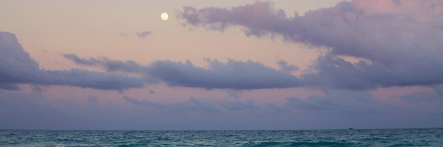pampmnsm's profile banner image
