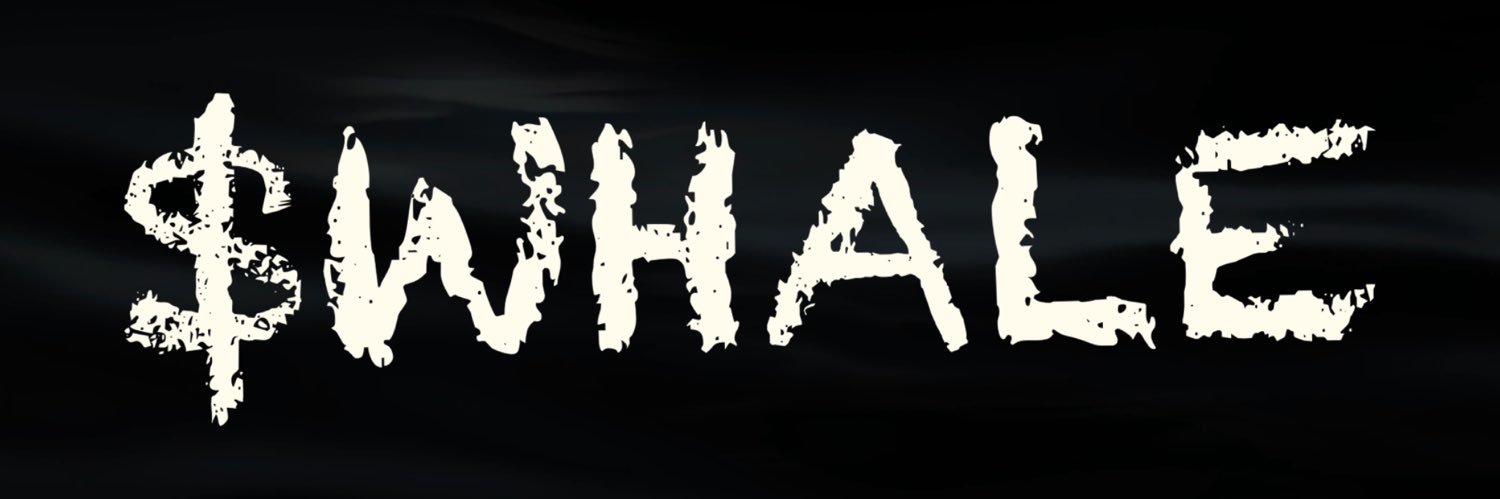 Justanotherpaul.sonic 🌊's banner
