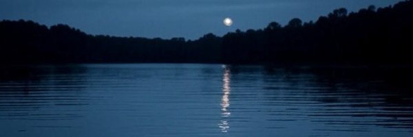 Justanotherpaul Profile Banner