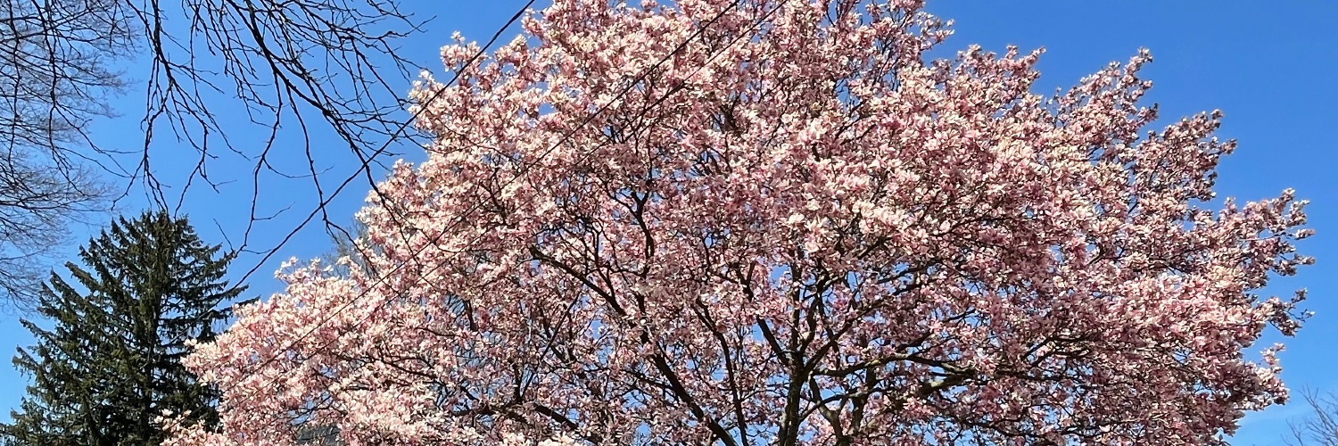 Esther (Esa) Burson banner