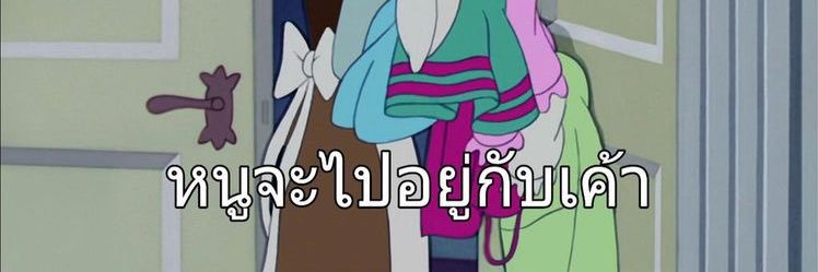 ทานตะวันบอย banner
