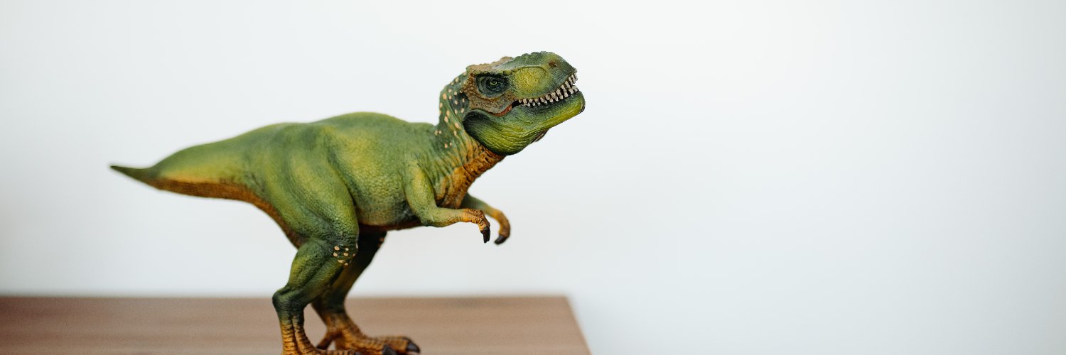 Desirae Odjick banner