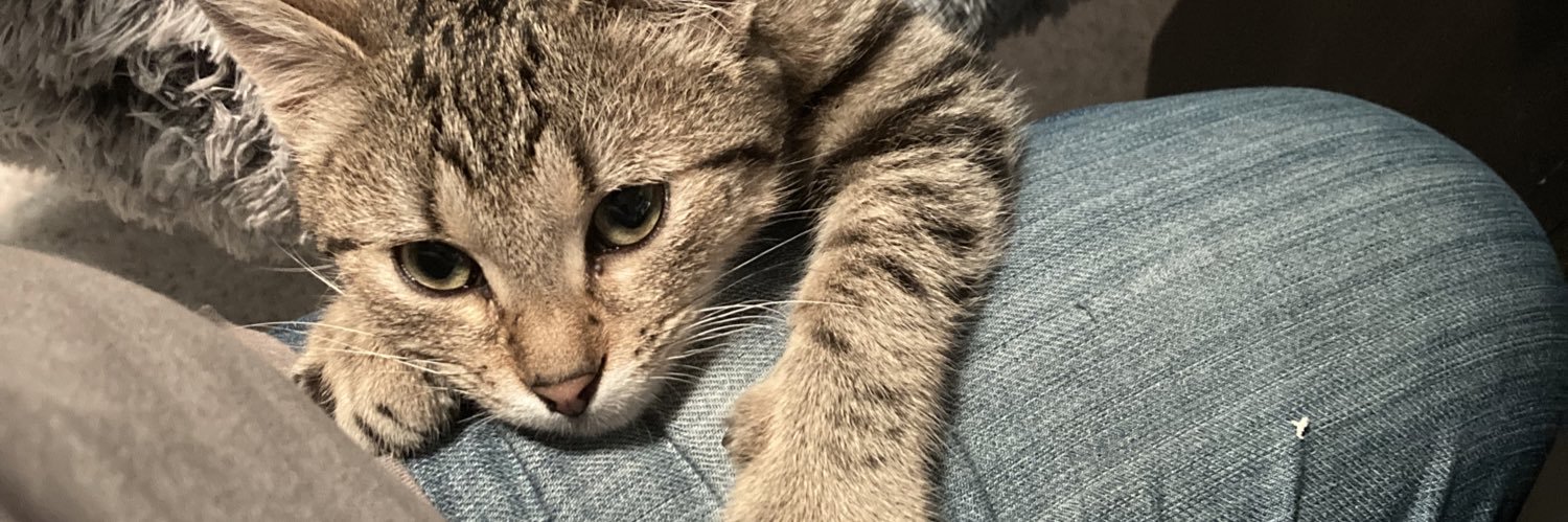 AlexandreLeje19's profile banner image