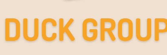 DuckGroup_ir's profile banner image