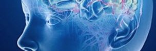 SETINet's profile banner image