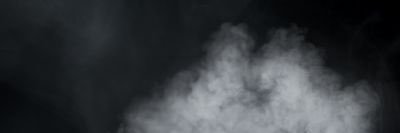 Canova Capone banner